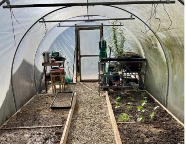 The communal greenhouse at Inclusive Support in Colchester - Maven Healthcare