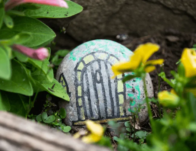 A painted rock in the garden - Maven Healthcare