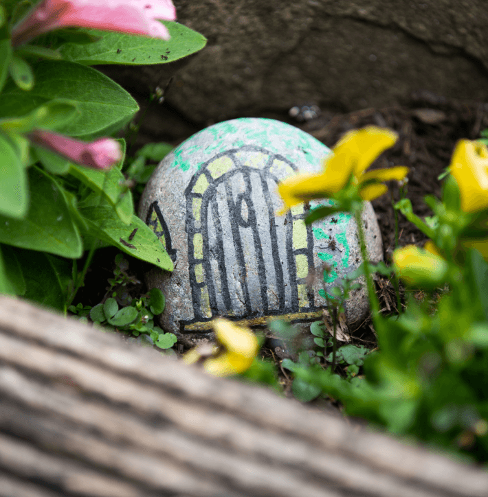 A painted rock in the garden - Maven Healthcare